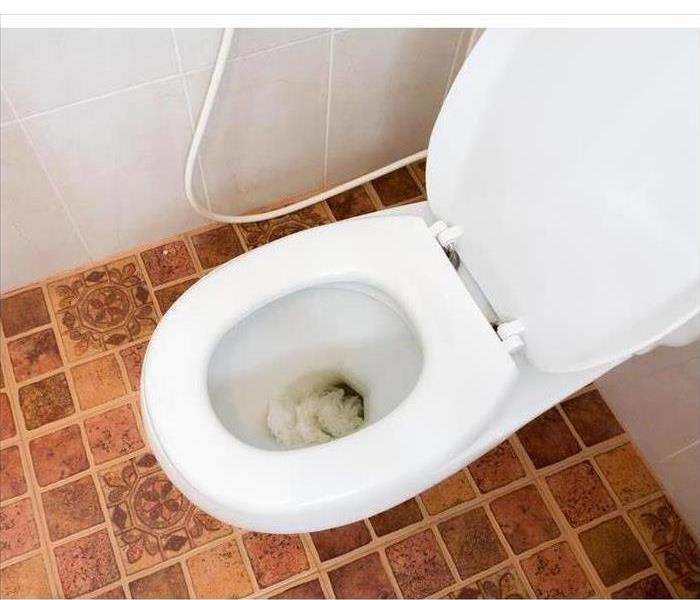 Clogged toilet, toilet paper on toilet bowl.