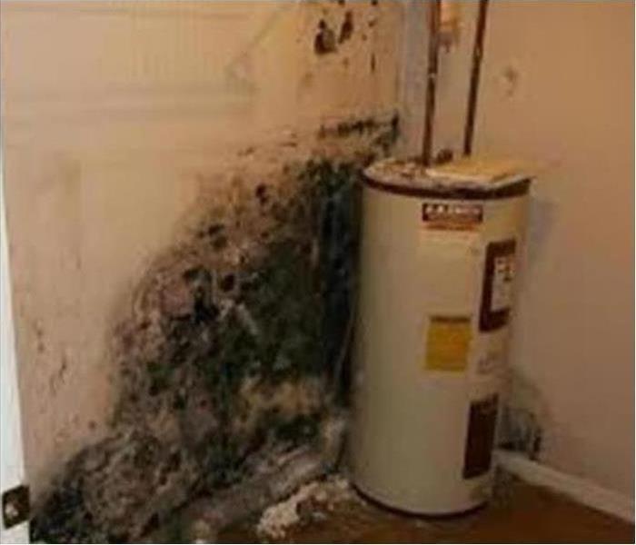 Mold growth behind a water heater 