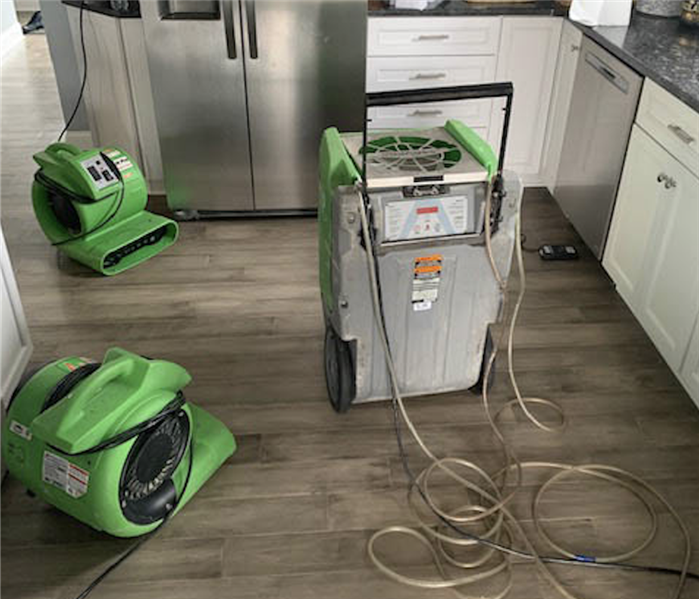 Green drying equipment in a kitchen. 