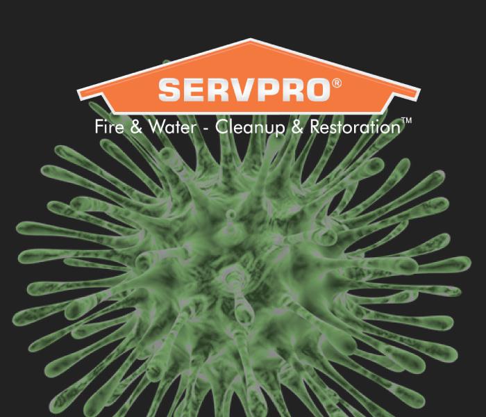SERVPRO logo above a spore